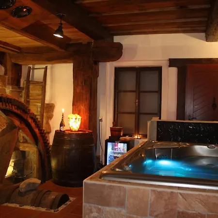 Apartment Loucny Mlyn *
